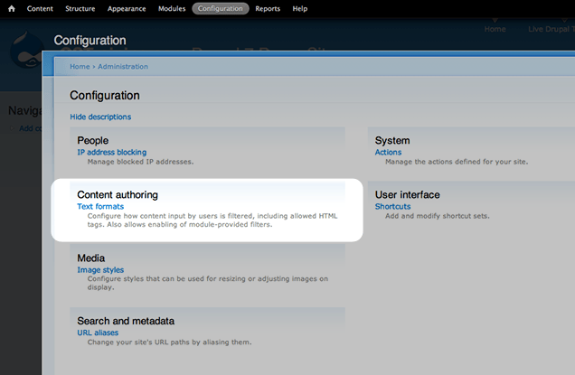 Text format menu item